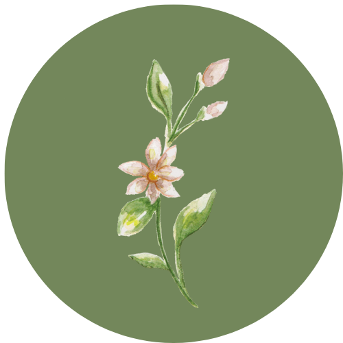 JASMINE